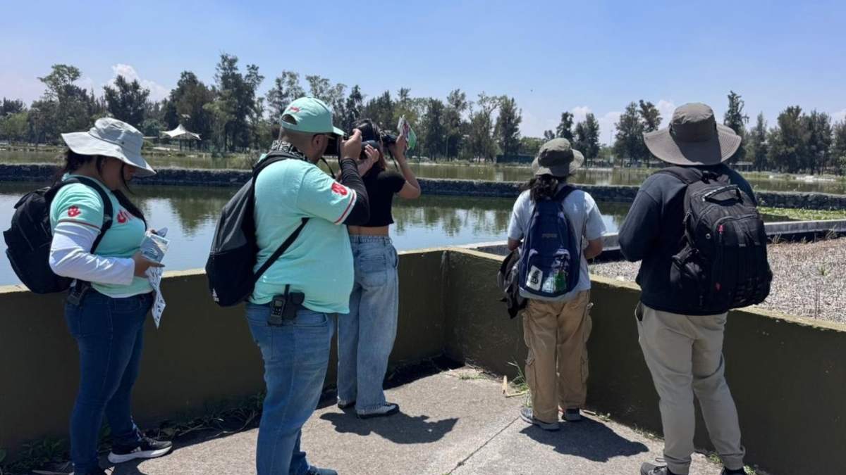 CDMX rompe todos sus récords en el Reto Naturalista Urbano 2026 |