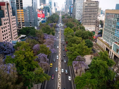 "Guía CDMX. Siete recorridos por la Ciudad de México": SECTUR y FMPT anuncian fecha de publicación