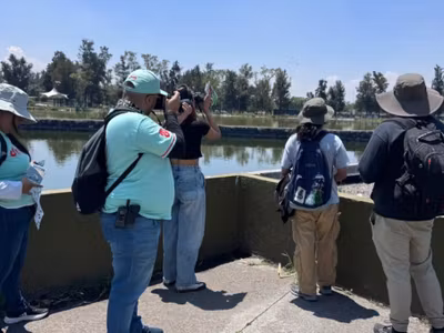 CDMX rompe todos sus récords en el Reto Naturalista Urbano 2026