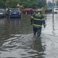 Gobierno CDMX atiende encharcamientos y caída de árboles tras intensas lluvias esta madrugada