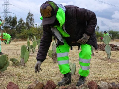 SOBSE realiza labores de mantenimiento y rehabilitación del Parque Ecológico Cuitláhuac