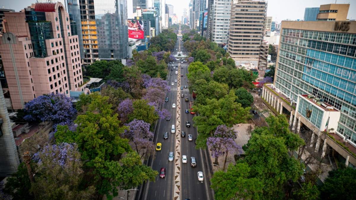"Guía CDMX. Siete recorridos por la Ciudad de México": SECTUR y FMPT anuncian fecha de publicación |